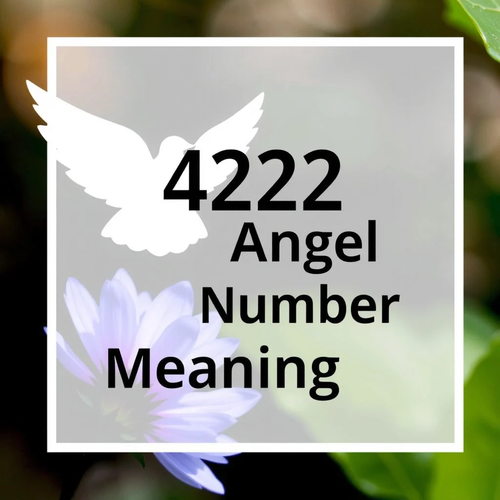 4242 angel number meaning illustration